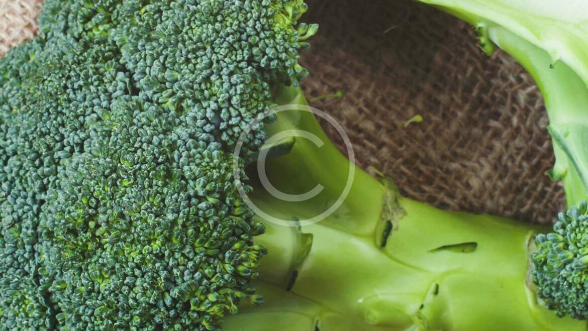 Broccoli is king, no matter what the weather is